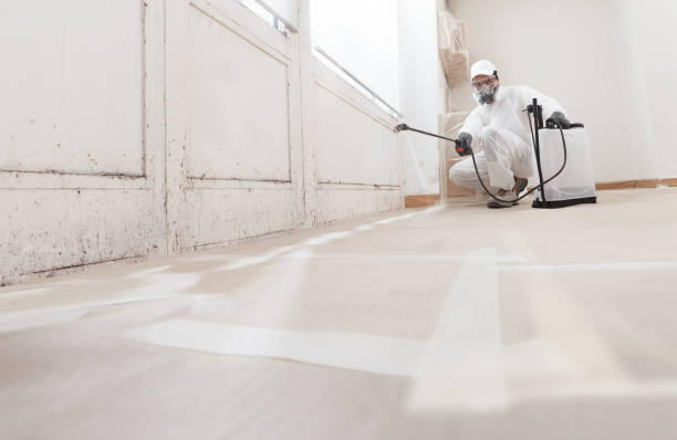 24/7 Emergency Mold Remediation experts in Denton, NC
