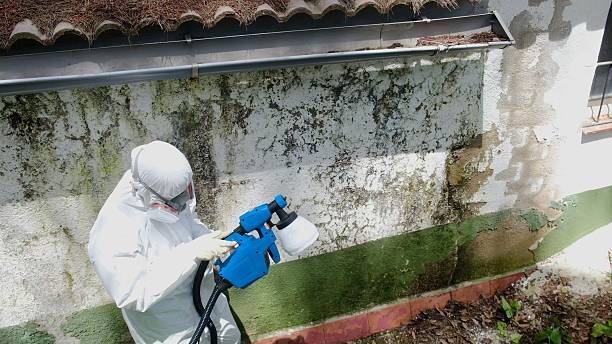 Top rated local Mold Remediation specialists in Denton, NC